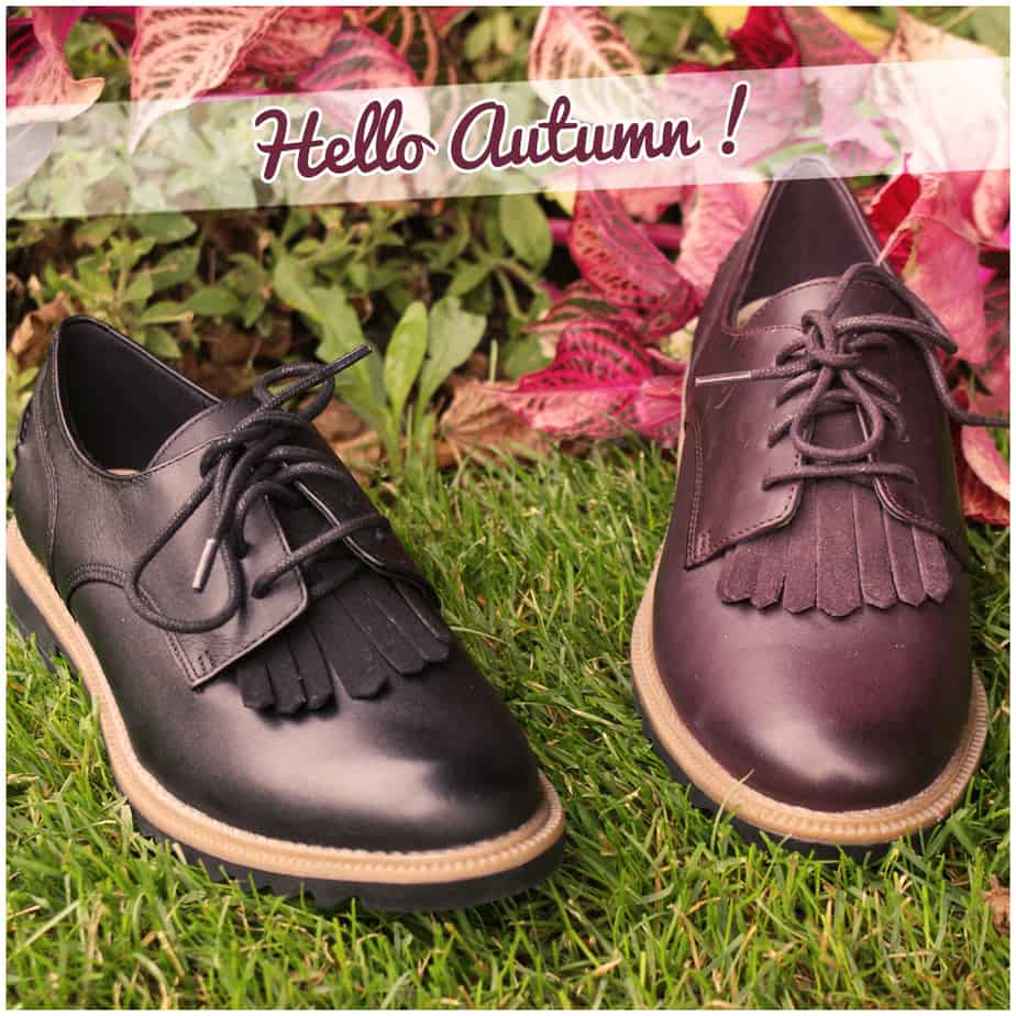 CLARKS - GRIFFIN MABEL - Noire - Prune