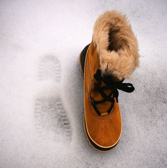 Sorel traces