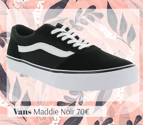 Basket Vans