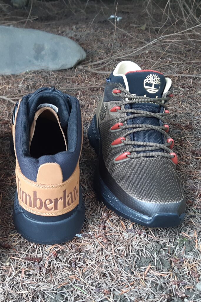 Basket Timberland pour homme